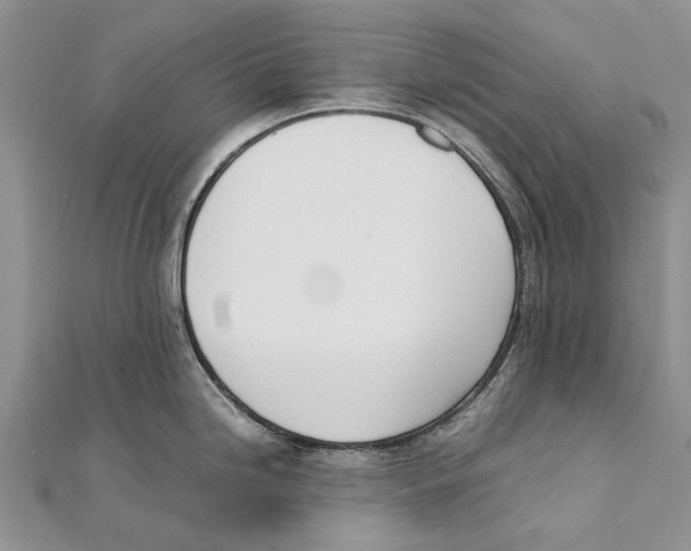 X0000111391246200908071249
