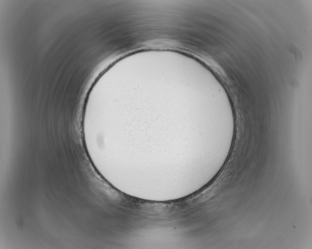 X0000111391248200908071249