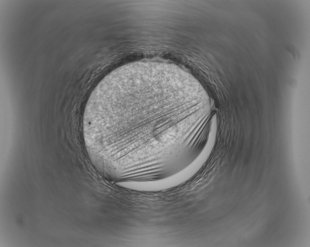 X0000111391249200908071248