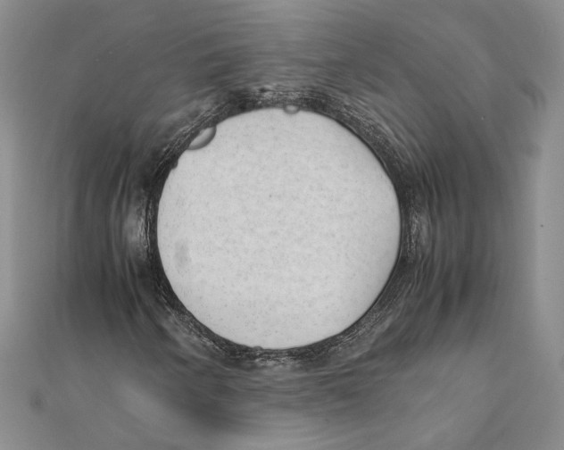X0000111391250200908071248