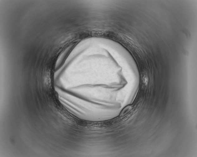 X0000111391252200908071248