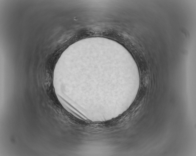 X0000111391253200908071248