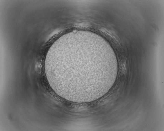 X0000111391254200908071248