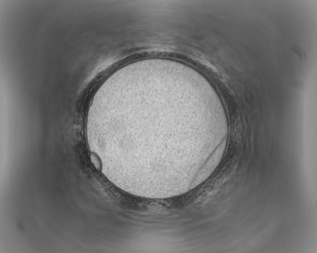 X0000111391255200908071248