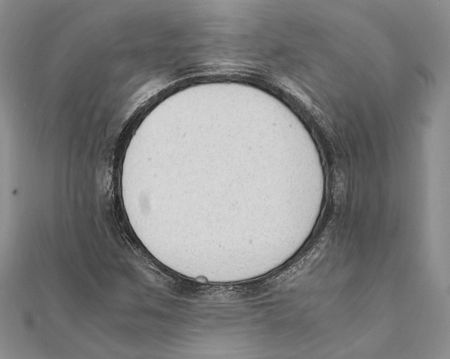 X0000111391259200908071248