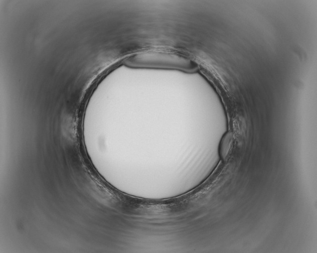 X0000111391260200908071248