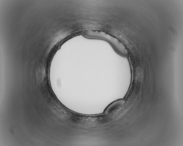 X0000111391261200908071248