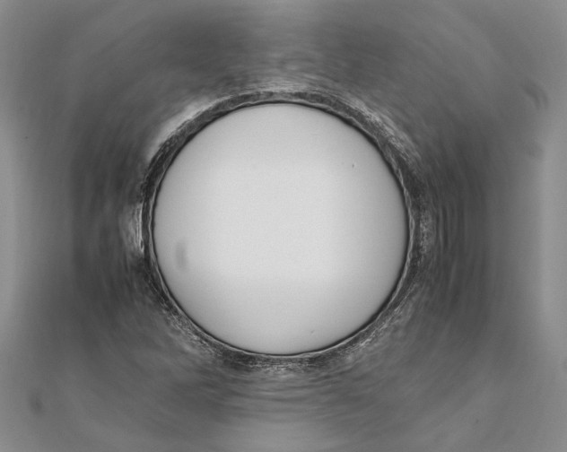 X0000111391262200908071248