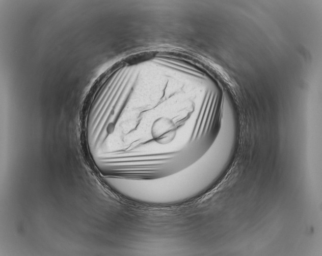 X0000111391264200908071248