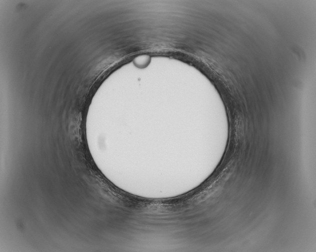 X0000111391265200908071248