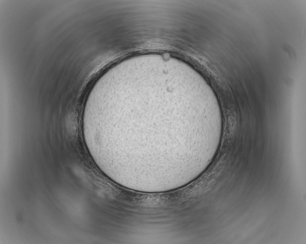 X0000111391266200908071248