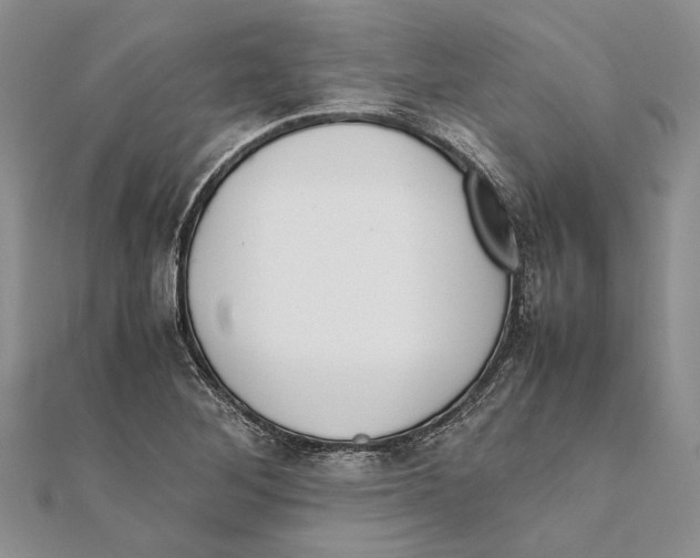 X0000111391268200908071248