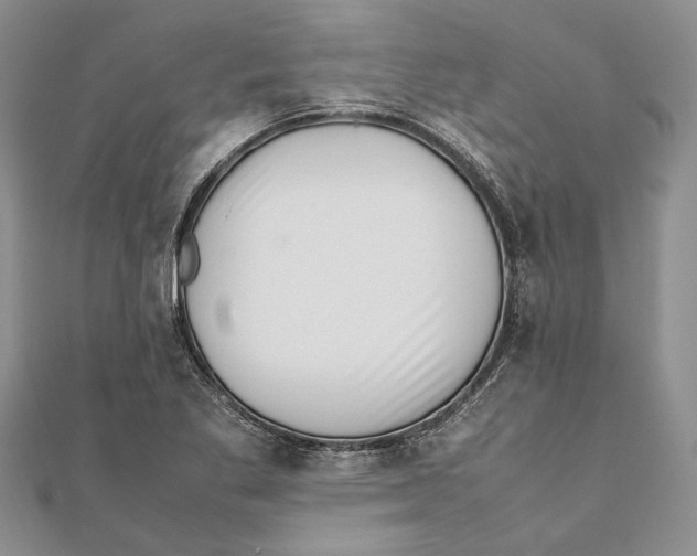X0000111391269200908071248