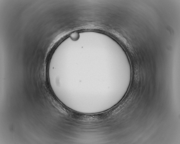 X0000111391270200908071248