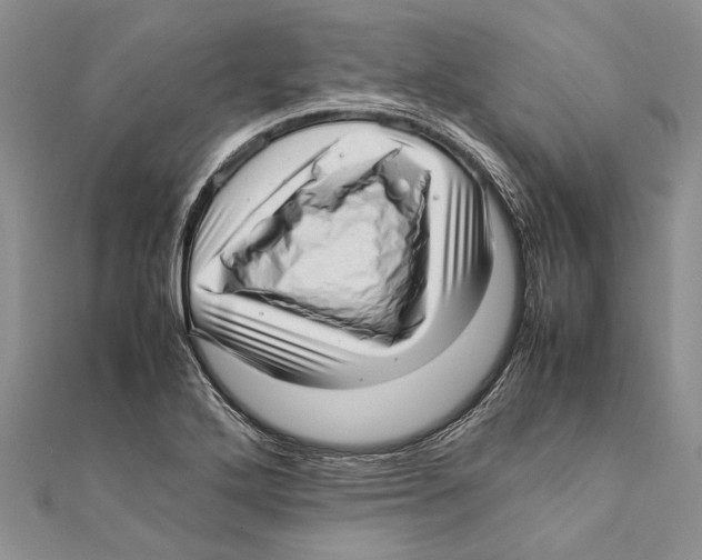 X0000111391272200908071248