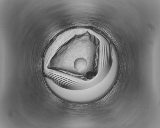 X0000111391273200908071248