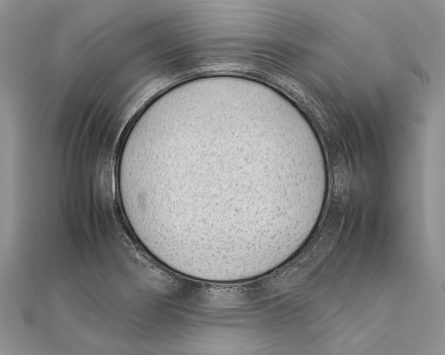 X0000111391274200908071248