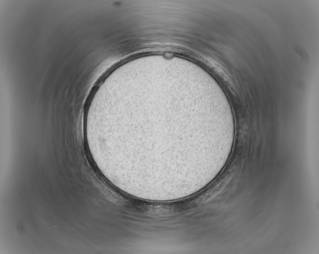 X0000111391275200908071248