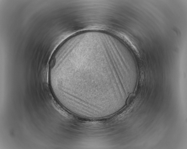 X0000111391276200908071248