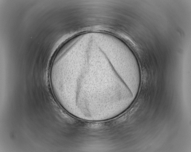 X0000111391278200908071248