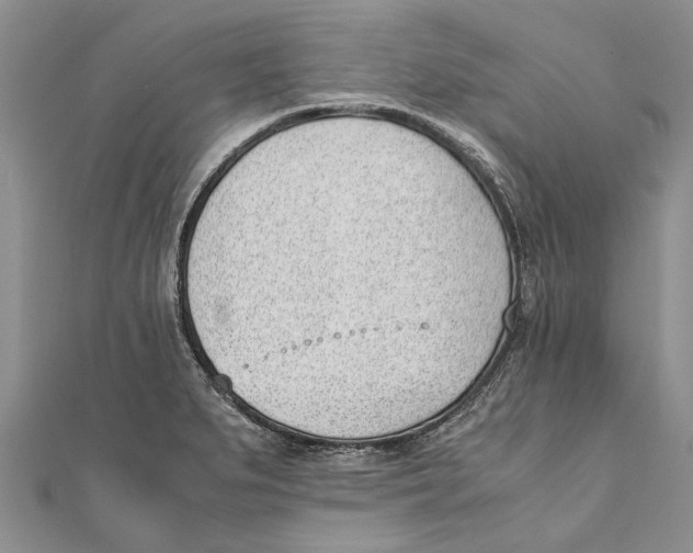 X0000111391279200908071248