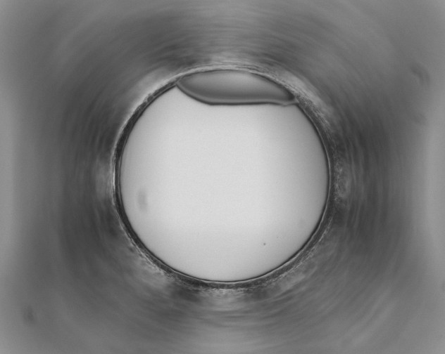 X0000111391280200908071248