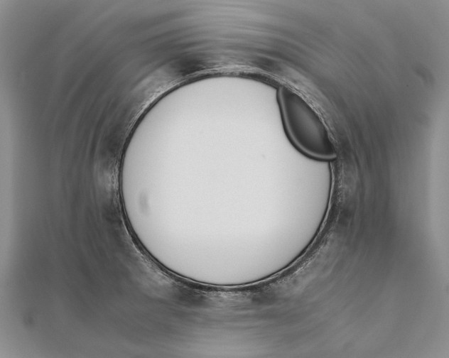 X0000111391281200908071248
