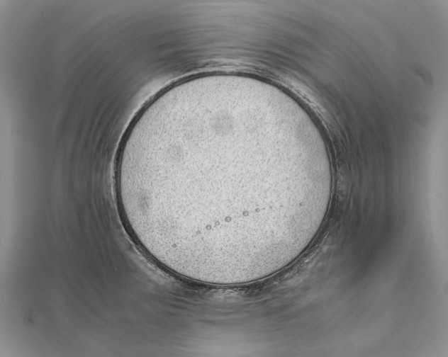 X0000111391283200908071248