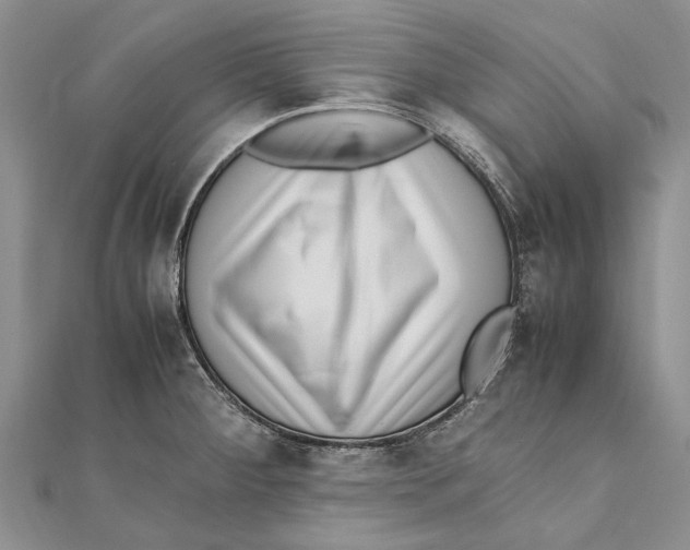 X0000111391284200908071248