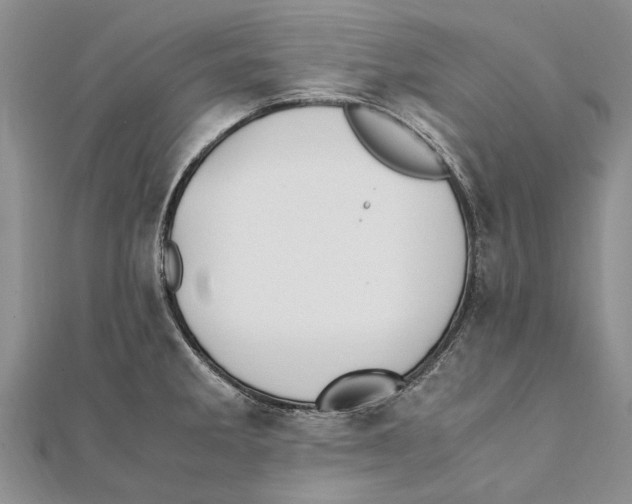 X0000111391285200908071248