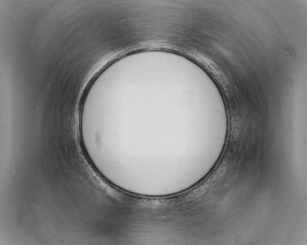 X0000111391286200908071248