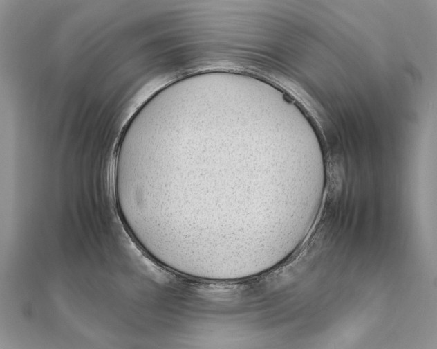 X0000111391290200908071248