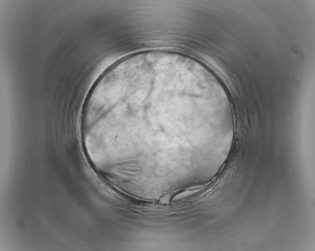 X0000111391291200908071248