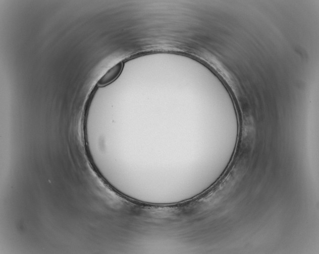 X0000111391293200908071248