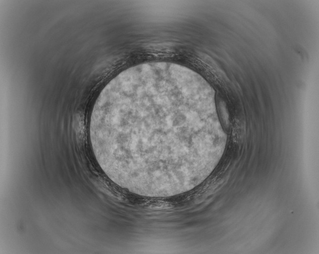X0000111391298200908071247