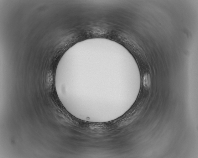 X0000111391299200908071247