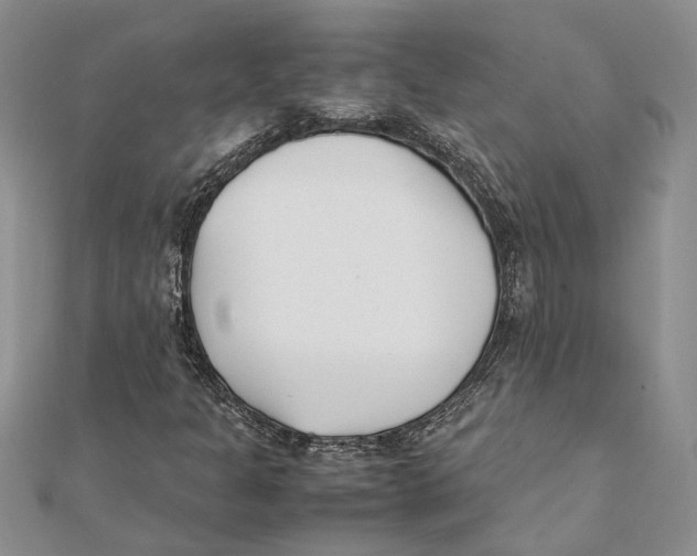 X0000111391301200908071247