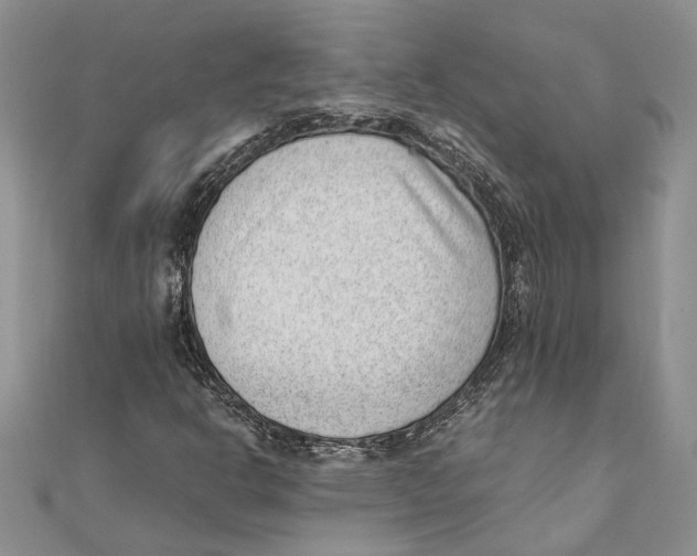 X0000111391302200908071247