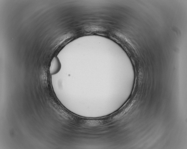 X0000111391305200908071247