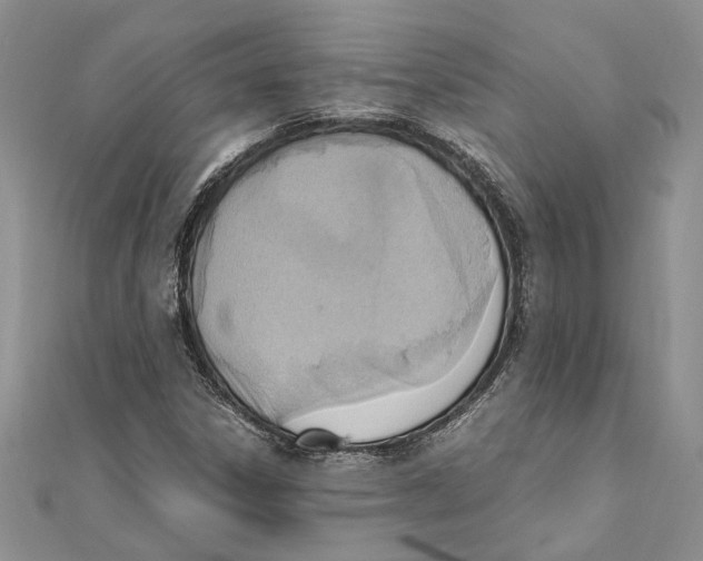 X0000111391306200908071247
