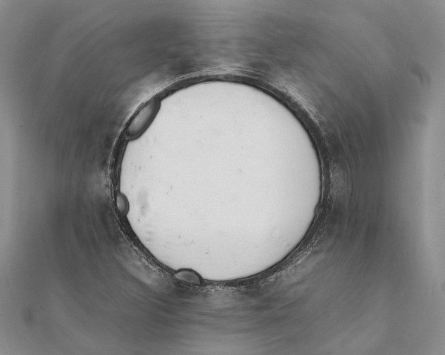 X0000111391308200908071247