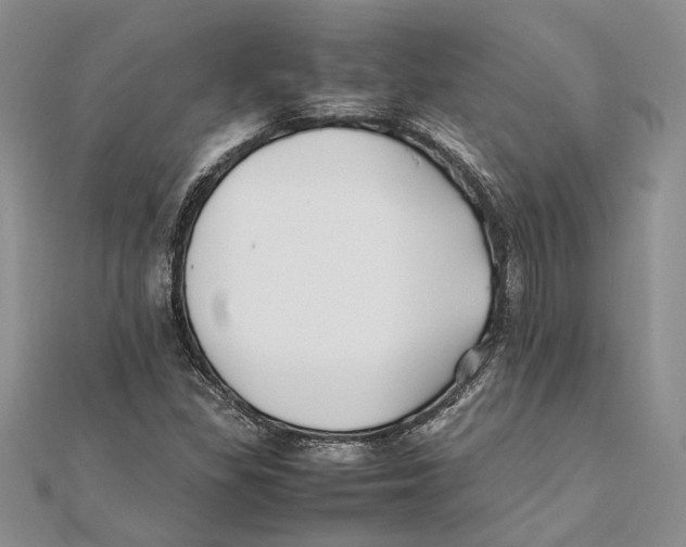 X0000111391309200908071247