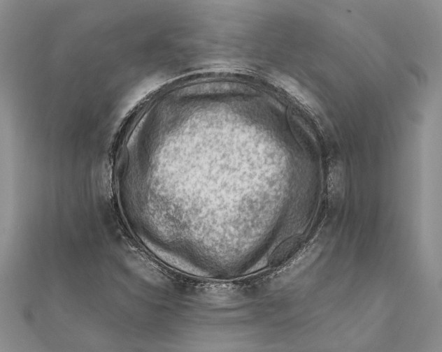 X0000111391310200908071247