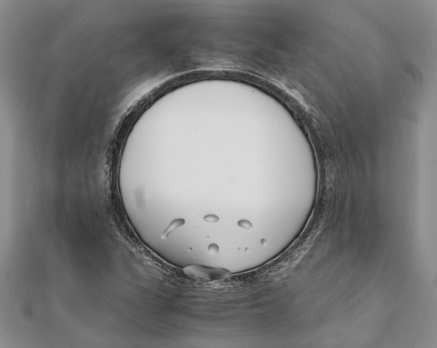 X0000111391311200908071247