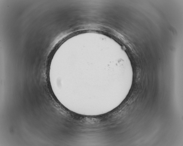 X0000111391312200908071247