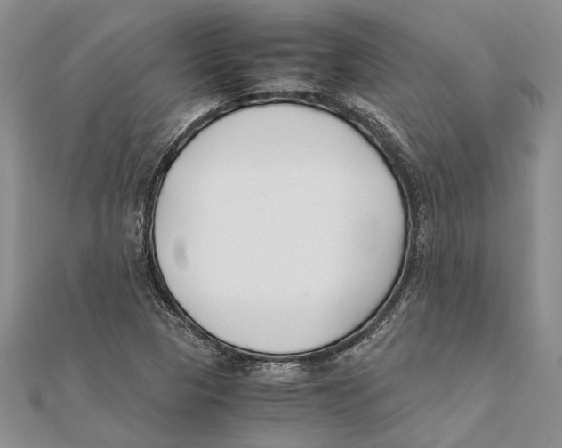 X0000111391313200908071247