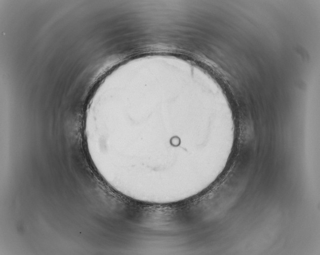 X0000111391314200908071247