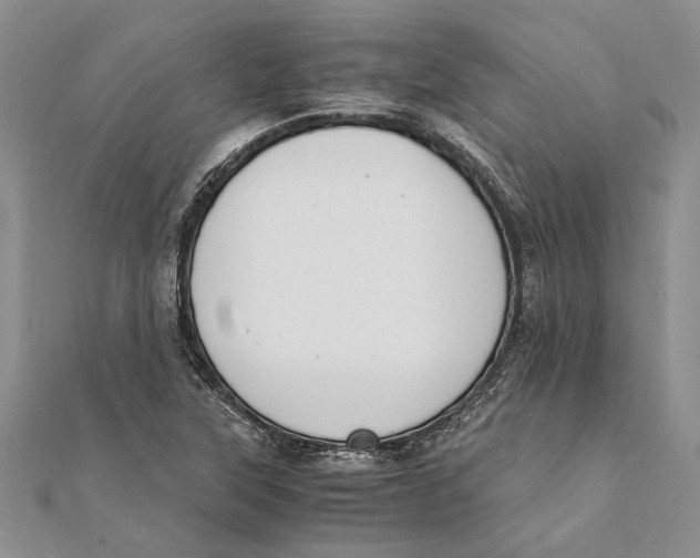 X0000111391315200908071247