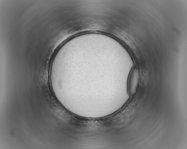 X0000111391316200908071247