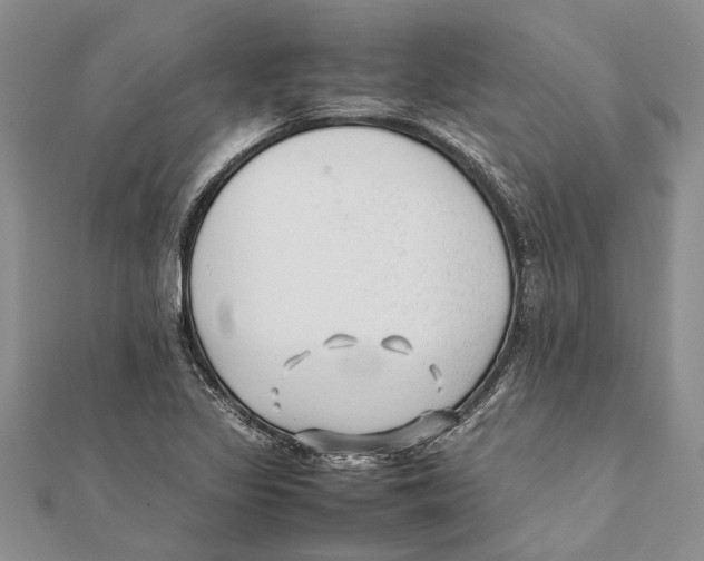 X0000111391317200908071247